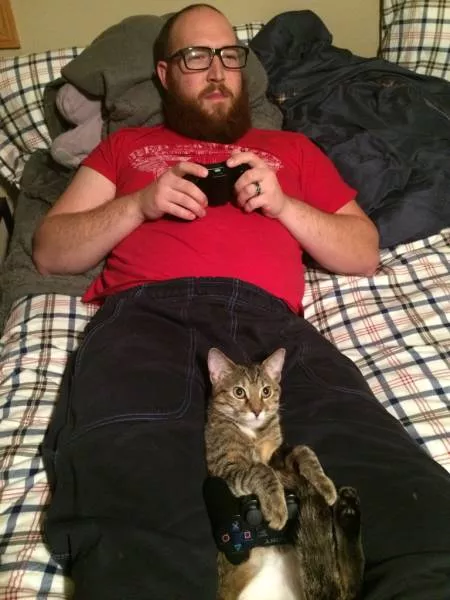 Cats are always funny - #19 