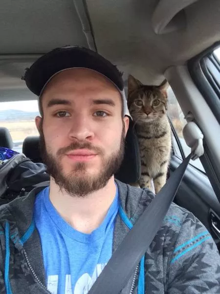 Les chats sont toujours rigolos - #20 