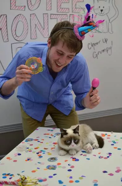 Cats are always funny - #35 