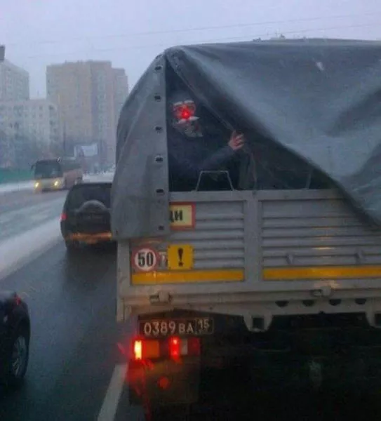 Before going to russia - #36 