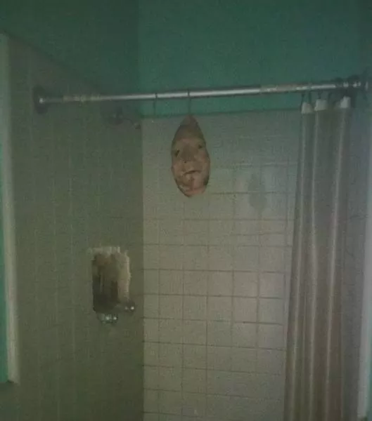 Its the horror here