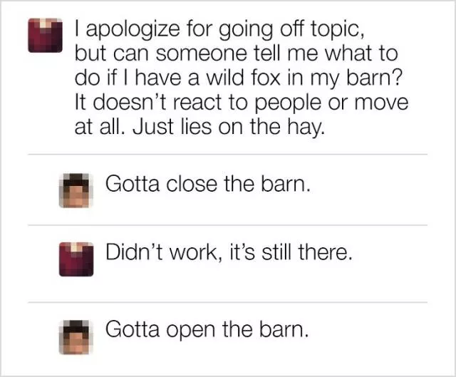 Never ask the internet for any advice - #20 