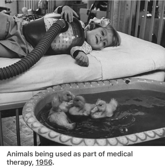 The most exciting historical photos - #31 