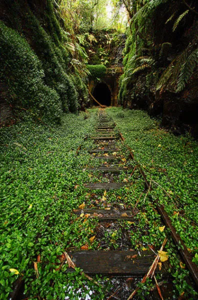 Quand la nature reprend sa place - #1 