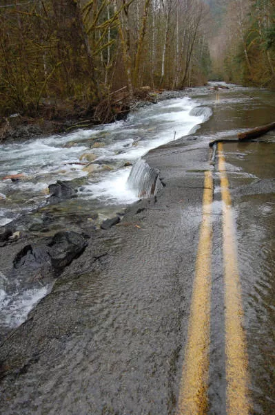 Quand la nature reprend sa place - #10 