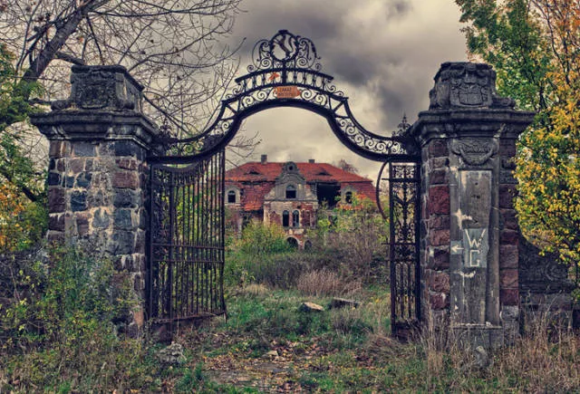Quand la nature reprend sa place - #11 