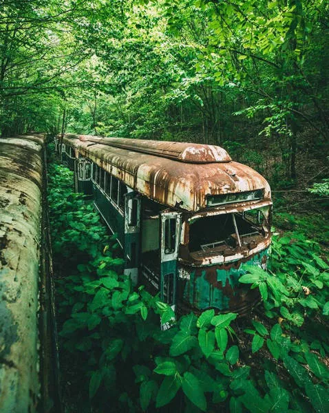 Quand la nature reprend sa place - #15 