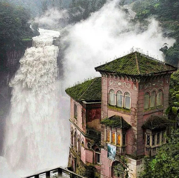 Quand la nature reprend sa place - #17 