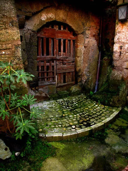 Quand la nature reprend sa place - #19 