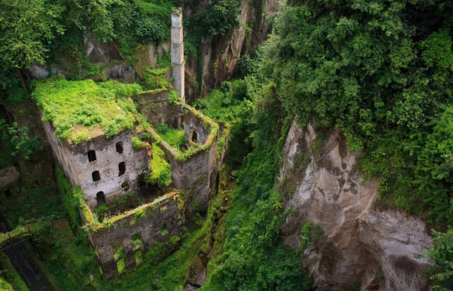 Quand la nature reprend sa place - #3 