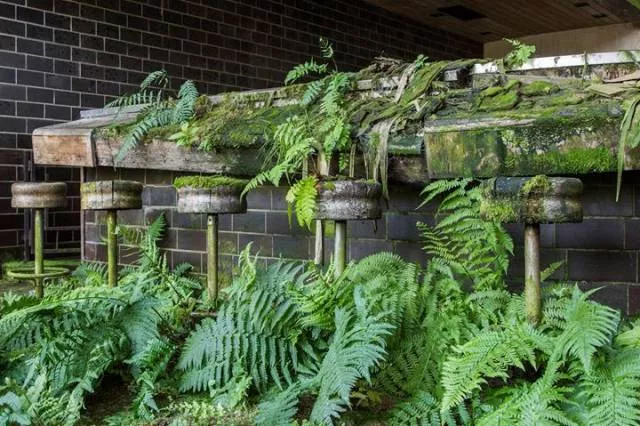 Quand la nature reprend sa place - #4 