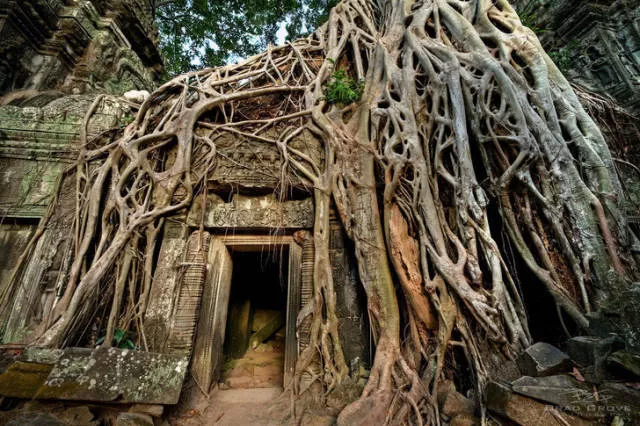 Quand la nature reprend sa place - #8 