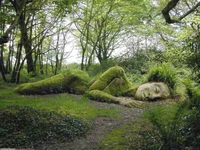 Quand la nature reprend sa place