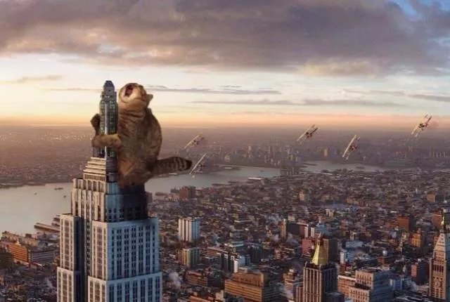 Funny edited pictures - #1 