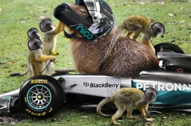 Funny edited pictures - #19 