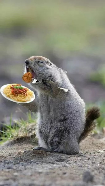 Funny edited pictures - #6 