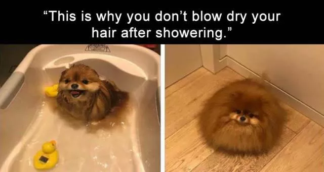 Picdump 455 - #49 