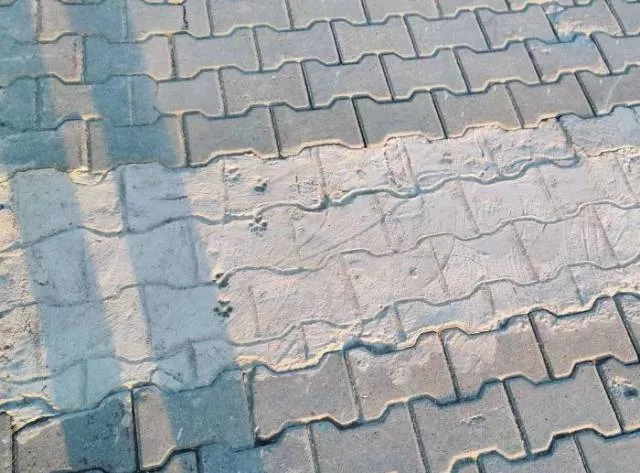Funny construction fails - #8 