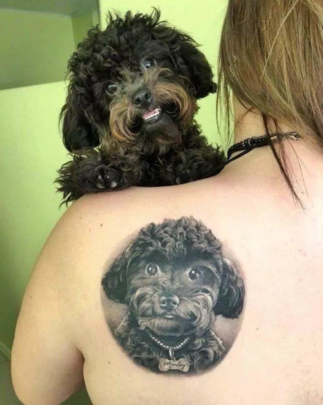 Picdump 457 - #10 