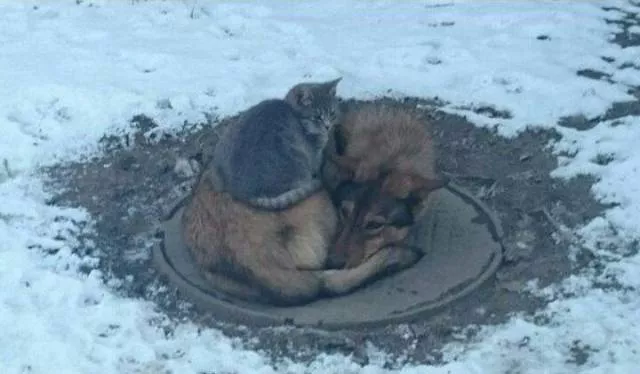 Picdump 457 - #13 