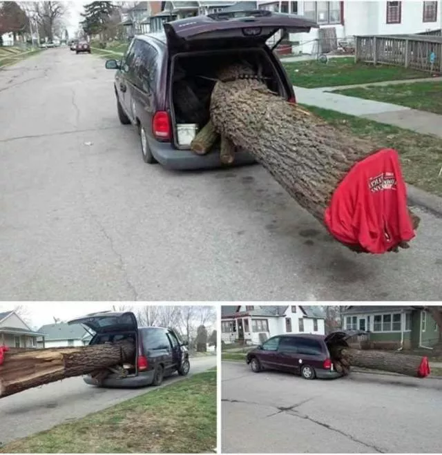 Picdump 457 - #56 