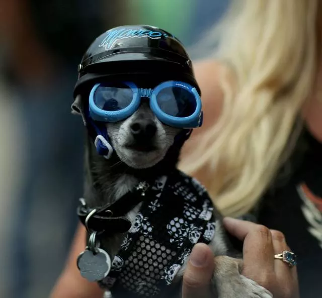 Picdump 457 - #57 