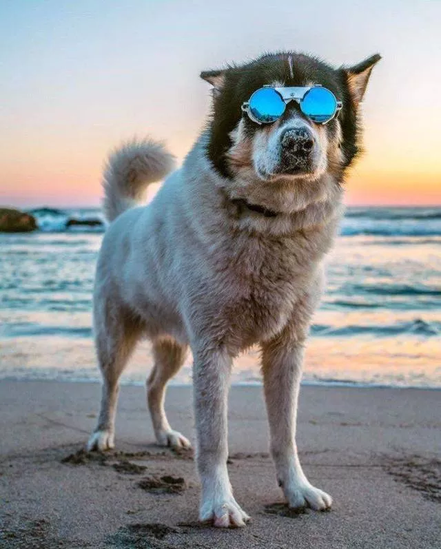 Picdump 457 - #83 