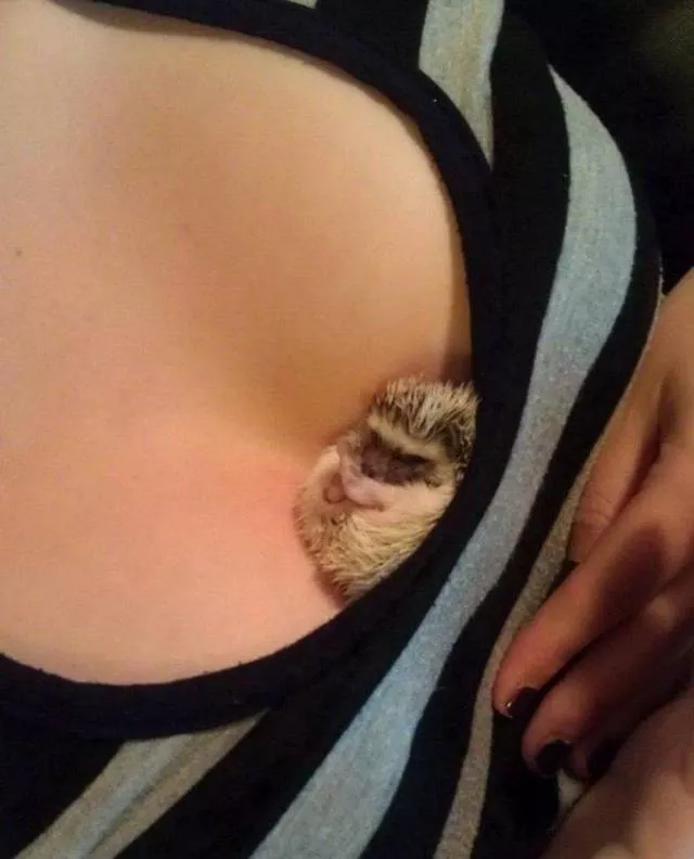 Picdump 457 - #9 