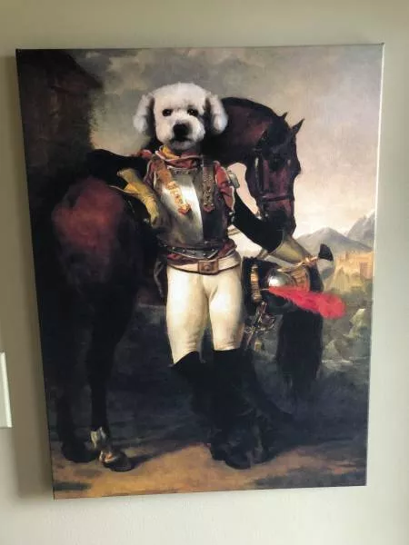 Picdump 459 - #12 