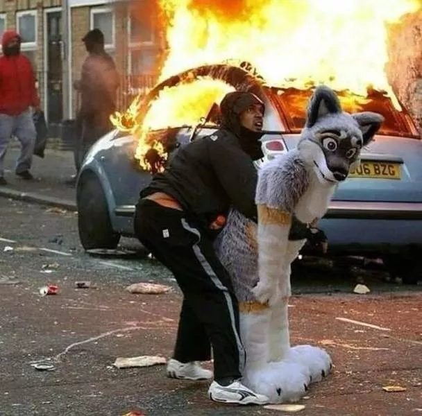 Picdump 461 - #27 