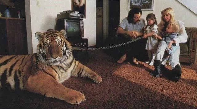 Picdump 461 - #31 