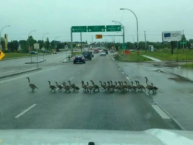 Picdump 461 - #55 