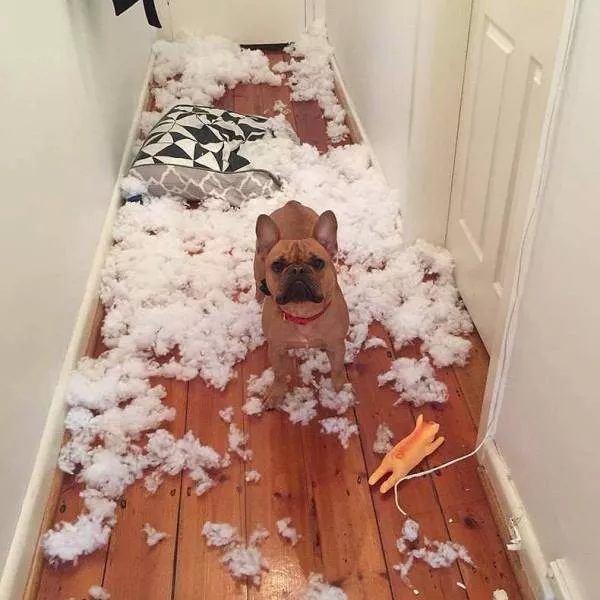 Picdump 462 - #18 