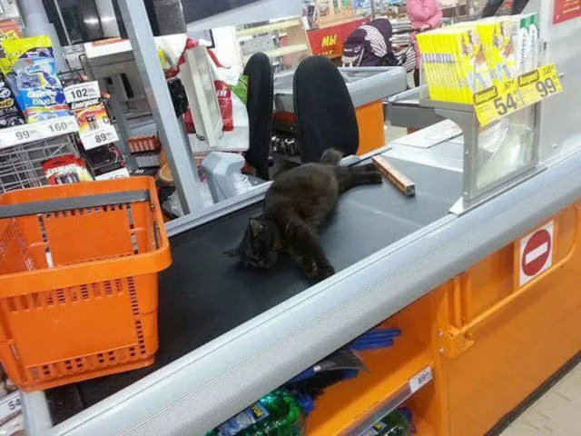 Pendant ce temps en russie - #16 