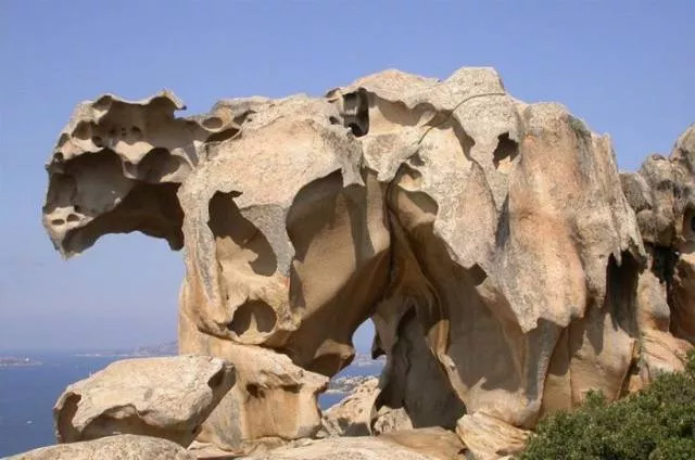 Nature always impresses us - #1 