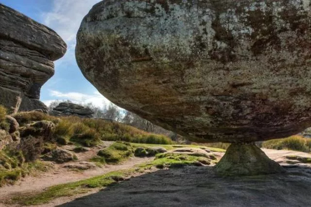 Nature always impresses us - #12 