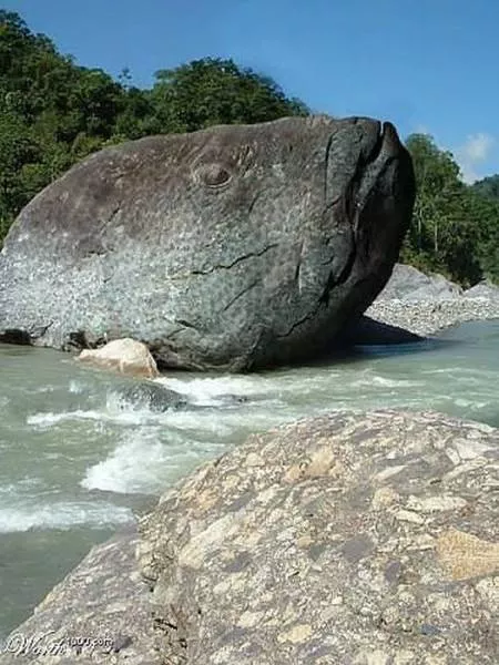 Nature always impresses us - #15 