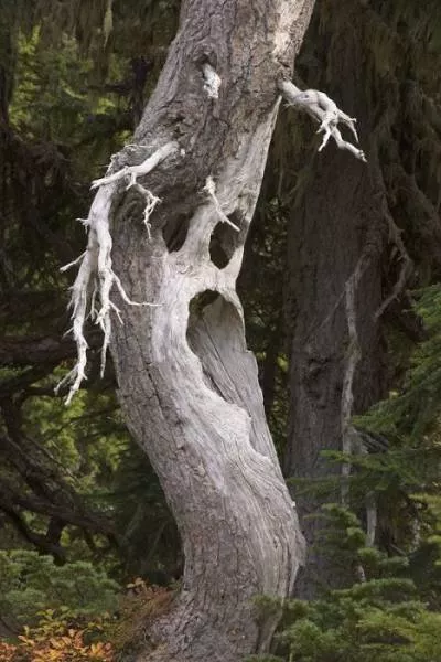 Nature always impresses us - #16 