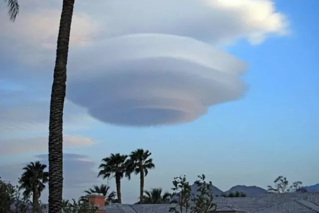 Nature always impresses us - #24 
