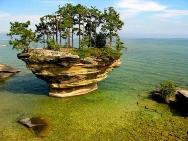 Nature always impresses us - #25 