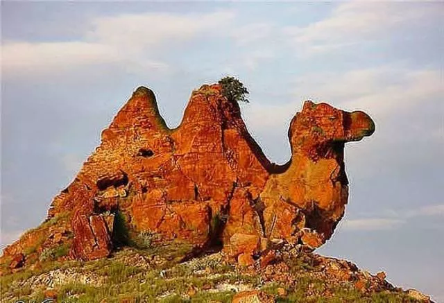 Nature always impresses us - #27 