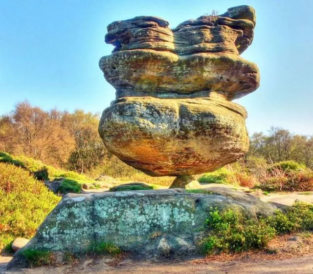 Nature always impresses us - #29 