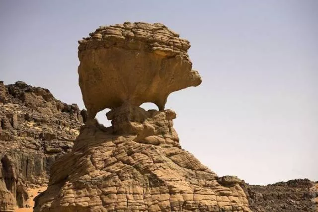 Nature always impresses us - #30 