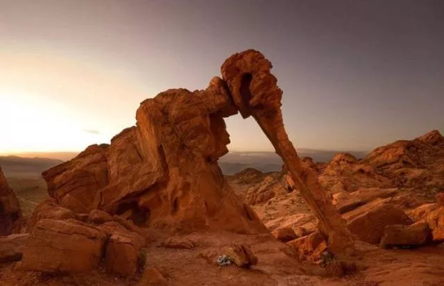 Nature always impresses us - #34 