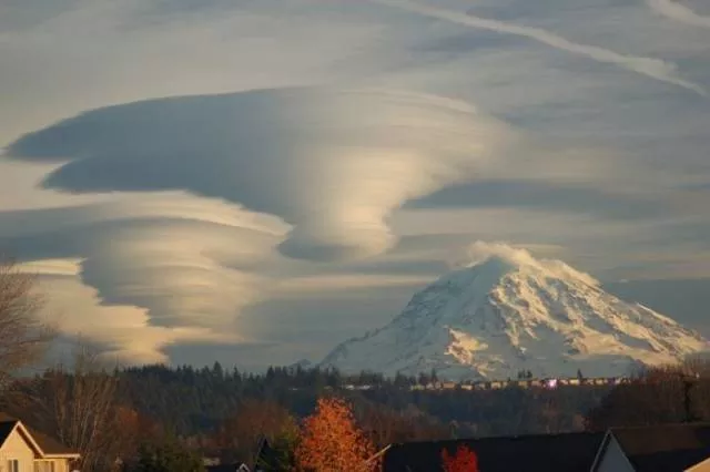 Nature always impresses us - #37 