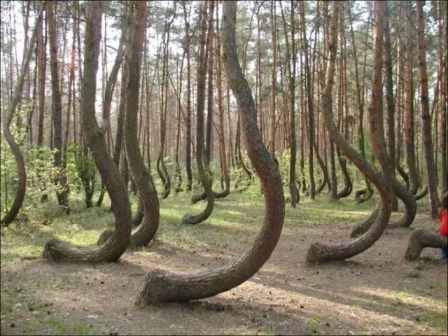 Nature always impresses us - #39 