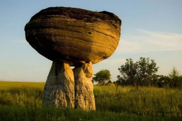 Nature always impresses us - #41 