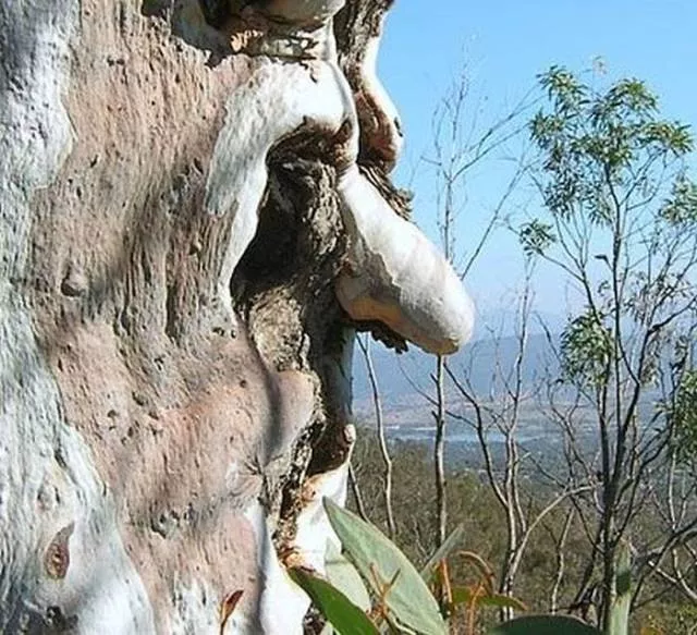 Nature always impresses us - #42 