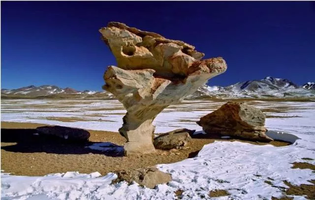 Nature always impresses us - #44 