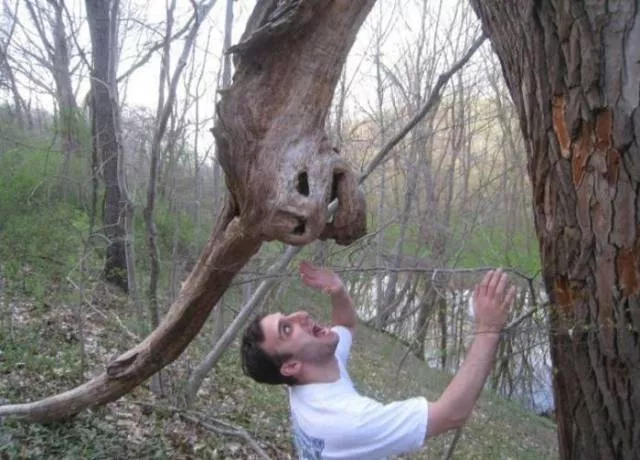 Nature always impresses us - #45 
